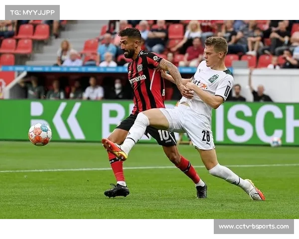 霍芬海姆主胜勒沃库森概率38%，伤病成X因素